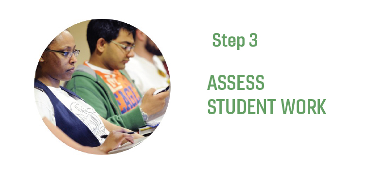 Step 3 - Assess student work