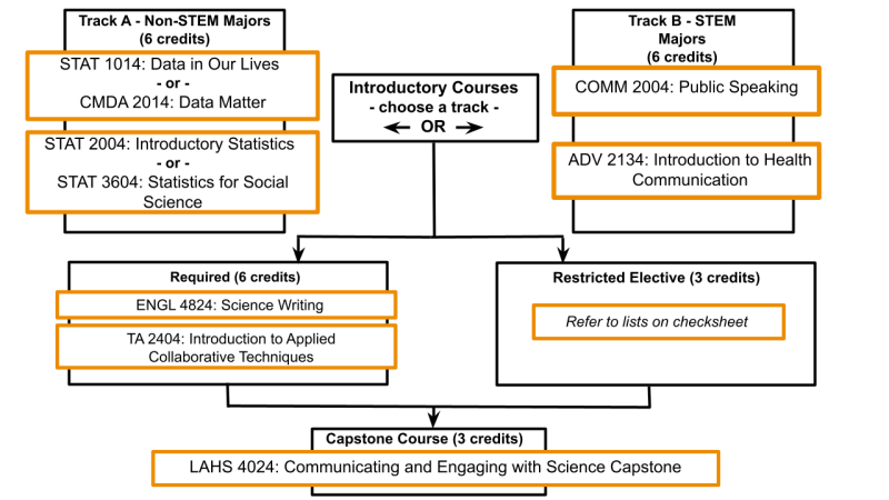 Curriculum map for the minor