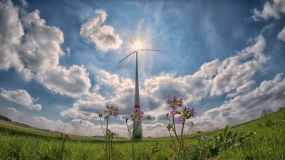 Imagine of a windmill in a field with flowers